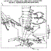 Burner Assembly
