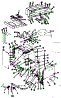 Body Section