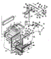 Body Section