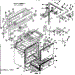 Body Section