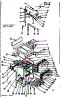 Body Section