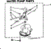 Water Pump Parts