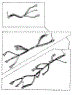 Wiring Harness Parts