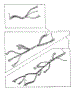 Wiring Harness Parts
