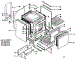 Body Section
