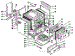 Body Section