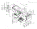 Body Section