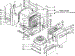 Body Section