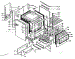 Body Section