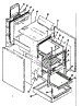 Body Section