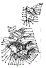 Body Section