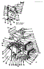 Body Section