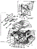 Body Section