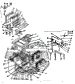 Body Section