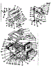Body Section