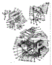 Body Section