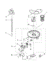 Pump And Motor Parts