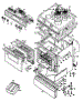 Body Section