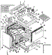 Body Section