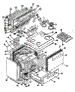 Body Section