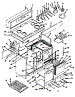 Body Section
