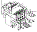 Body Section
