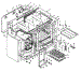 Body Section