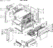 Body Section