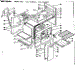 Body Section