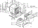 Body Section