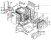 Body Section