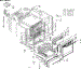 Body Section