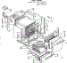 Body Section