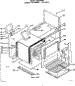 Body Section