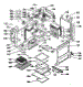 Body Section