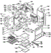 Body Section