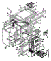 Body Section