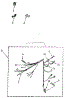 Wiring Harness Parts
