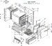 Body Section