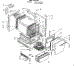 Body Section