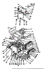 Body Section