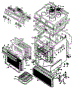 Body Section