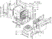 Body Section
