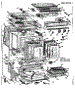 Body Section