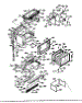 Upper Body Section