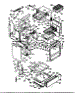 Lower Body Section