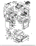 Lower Body Section