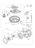 Pump And Motor Parts