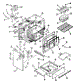 Body Section