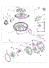 Pump And Motor Parts